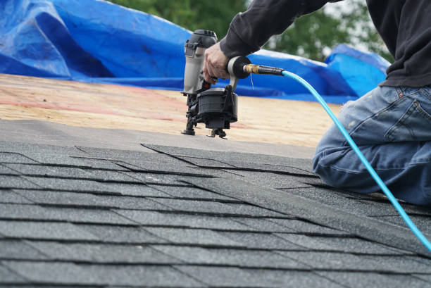 Best Shingle Roofing Installation  in Thatcher, UT